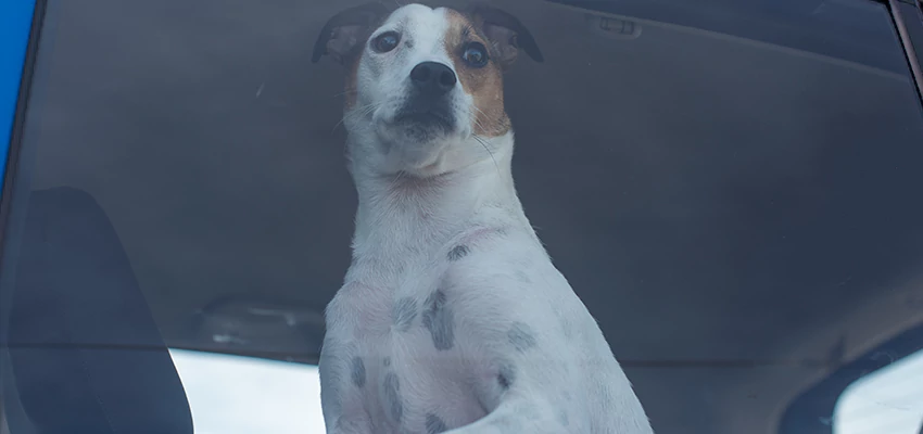 Car Lockout Solutions in San Mateo, California